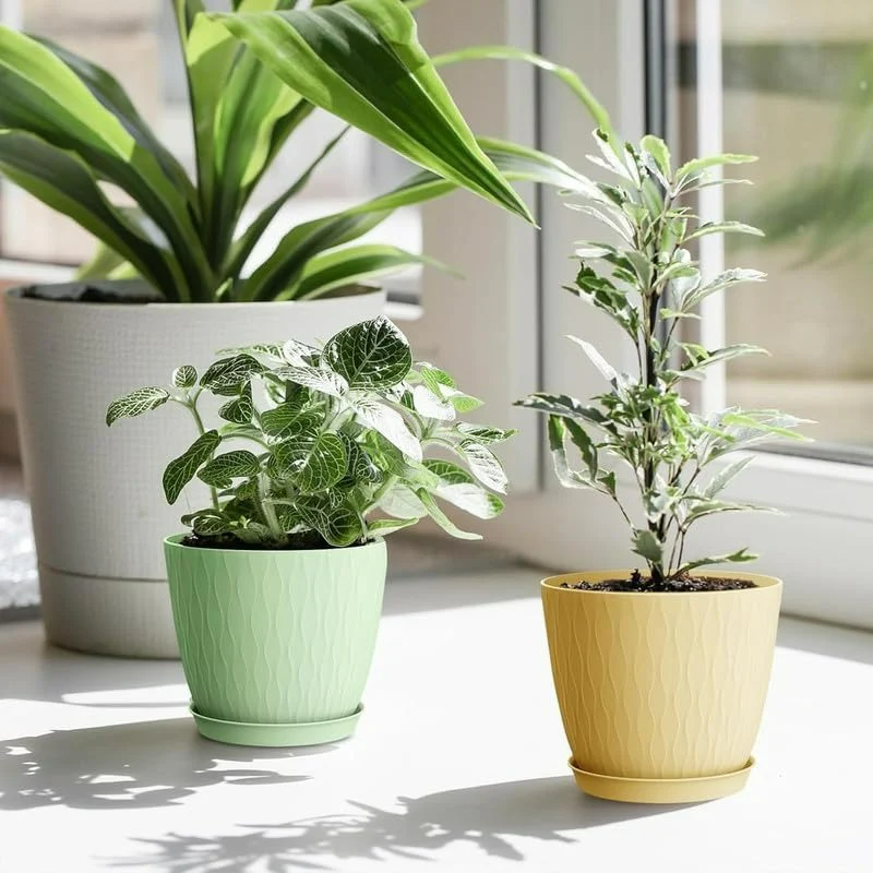 (Pack of 5) 6-Inch Unbreakable Plastic Flower Pots with Drainage & Saucers – Indoor & Outdoor Planters;f - Image 3